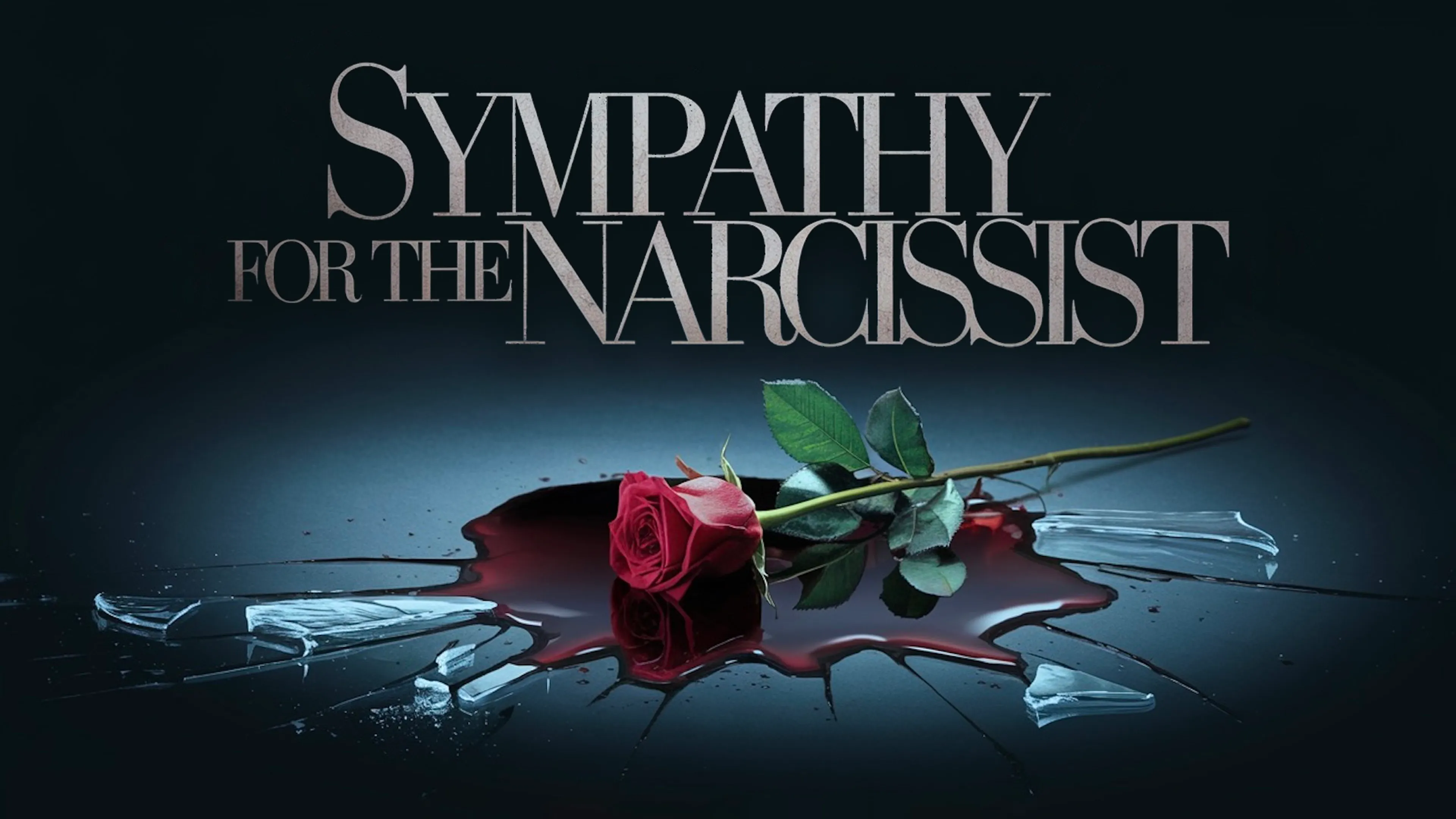 Sympathy For The Narcissist poster
